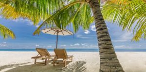 Plage caribéenne bordée de palmiers devant un complexe hôtelier, sans algues visibles.