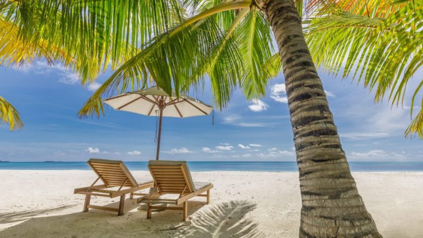 Plage caribéenne bordée de palmiers devant un complexe hôtelier, sans algues visibles.