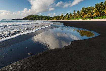 Plage de sable noir bordée de végétation tropicale en Dominique.